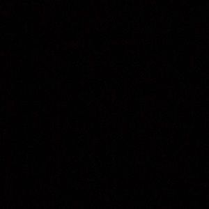 Meet your Posher, Sandy